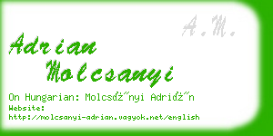 adrian molcsanyi business card
